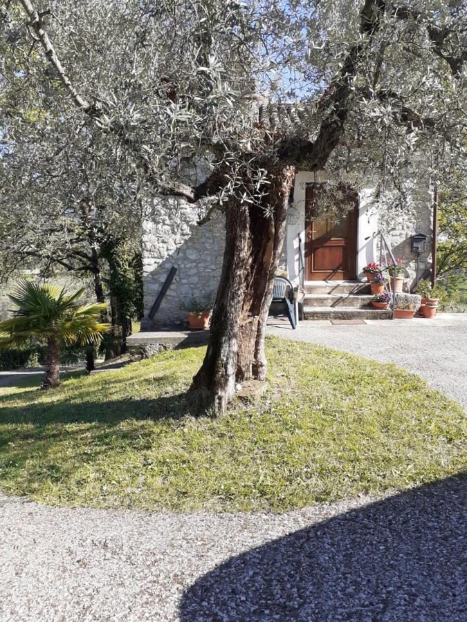 La Casetta Di Vacone Exterior photo