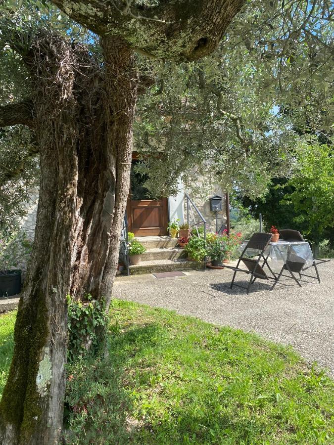 La Casetta Di Vacone Exterior photo